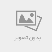 انجام انواع مقالات دانشجویی